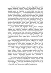 Verbų sekmadienis 3 puslapis