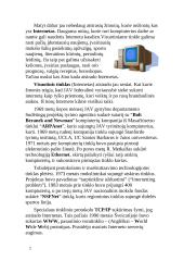 Visuotinio tinklo samprata ir raida 2 puslapis