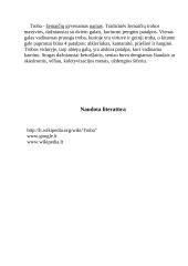 Žemaičių troba 3 puslapis