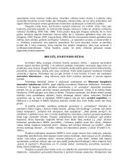 Zigmando Froido asmenybės teorija 11 puslapis