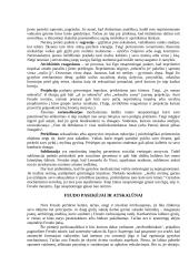 Zigmando Froido asmenybės teorija 5 puslapis