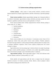 Kaimo turizmo plėtra Utenos apskrityje 12 puslapis