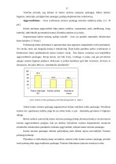 Kaimo turizmo plėtra Utenos apskrityje 13 puslapis