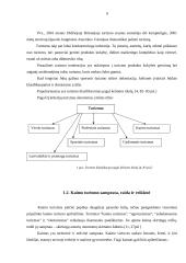 Kaimo turizmo plėtra Utenos apskrityje 5 puslapis