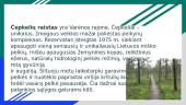 Saugomos teritorijos Lietuvoje 4 puslapis