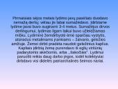 Žemdirbystė ir jos raida Lietuvoje 3 puslapis