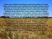 Žemdirbystė ir jos raida Lietuvoje 6 puslapis