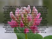 Žemdirbystė ir jos raida Lietuvoje 7 puslapis