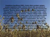 Žemdirbystė ir jos raida Lietuvoje 8 puslapis