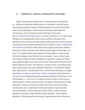 Ar demokratija yra geriausias valdymo būdas? 6 puslapis