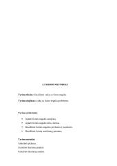 Vaikų, turinčių fizinę negalią problemos 2 puslapis