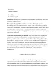 Vaikų, turinčių fizinę negalią problemos 3 puslapis