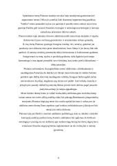 Platono meno filosofija 6 puslapis