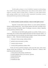 Bendruomeniškumo požymių analizė socialinės globos institucijose 11 puslapis