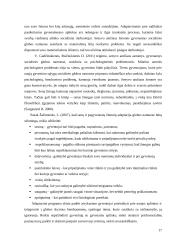 Bendruomeniškumo požymių analizė socialinės globos institucijose 17 puslapis