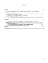 9 - 11 klasių mokinių vidinė motyvacija ir šeimos įtaka jai 2 puslapis