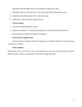 9 - 11 klasių mokinių vidinė motyvacija ir šeimos įtaka jai 4 puslapis