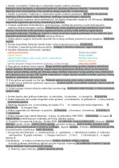 Prokariotai, protistai