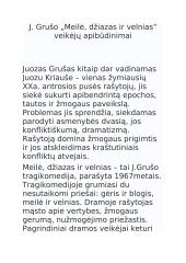 Meilė džiazas ir velnias veikėjų apibūdinimai