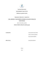 UAB "X" ekonominių rodiklių skaičiavimas ir vertinimas