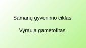 Samanų prisitaikymas gyventi tam tikroje aplinkoje 13 puslapis