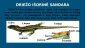 Samanų prisitaikymas gyventi tam tikroje aplinkoje 20 puslapis