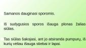 Samanų prisitaikymas gyventi tam tikroje aplinkoje 7 puslapis