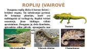 Roplių prisitaikymas prie gyvenimo sąlygų ir jų reikšmė gamtai ir žmogui 10 puslapis