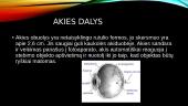 Akis ir jos ydos 4 puslapis