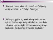 Balys Sruoga (puikus pristatymas) 2 puslapis