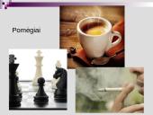 Balys Sruoga (puikus pristatymas) 13 puslapis