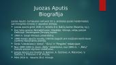 Juozas Aputis prezentacija  3 puslapis