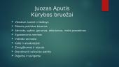 Juozas Aputis prezentacija  4 puslapis