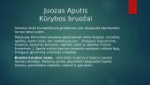 Juozas Aputis prezentacija  5 puslapis