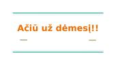 Biliūno "Lazdos" analizė 12 puslapis