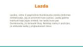 Biliūno "Lazdos" analizė 6 puslapis