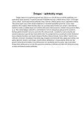 Žmogus - aplinkybių vergas