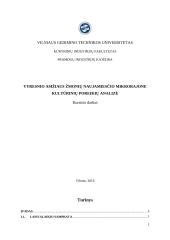 Vyresnio amžiaus žmonių Naujamiesčio mikrorajone kultūrinių poreikių analizė