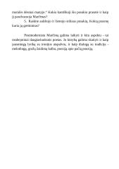 Aidas Marčėnas 8 puslapis