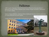 Vytautas Mačernis skaidrės 16 puslapis