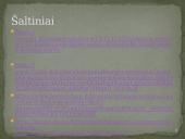 Vytautas Mačernis skaidrės 19 puslapis