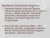 Ruošiantis rašiniui (literatūrinis) 13 puslapis