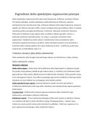 Pagrindiniai darbo apmokėjimo principai