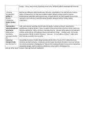 M. Ivaškevičiaus "Madagaskaro" analizė 2 puslapis