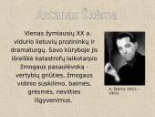 Balta drobulė analizė. Skaidrės. 2 puslapis