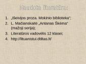 Balta drobulė analizė. Skaidrės. 19 puslapis