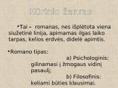 Balta drobulė analizė. Skaidrės. 5 puslapis