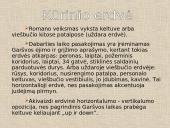 Balta drobulė analizė. Skaidrės. 8 puslapis