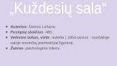 Knygos pristatymas- "Kuždesių sala" 2 puslapis