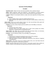 Gyvenimo išmintis Biblijoje (viešoji kalba) 2 puslapis